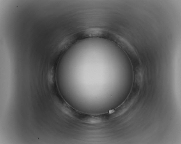X0000115720604200911191353