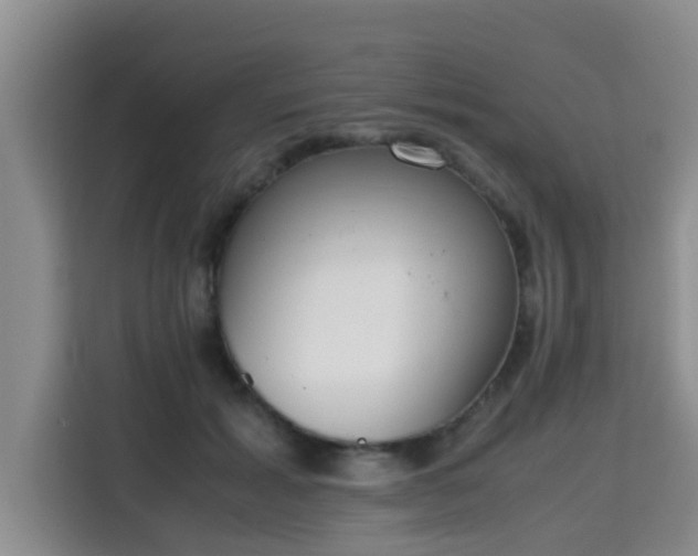 X0000115720605200911191353