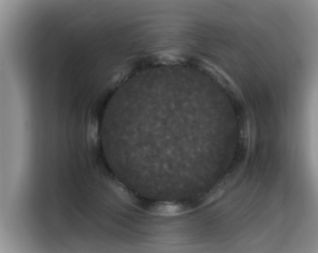 X0000115720610200911191353