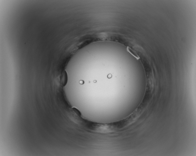 X0000115720611200911191353