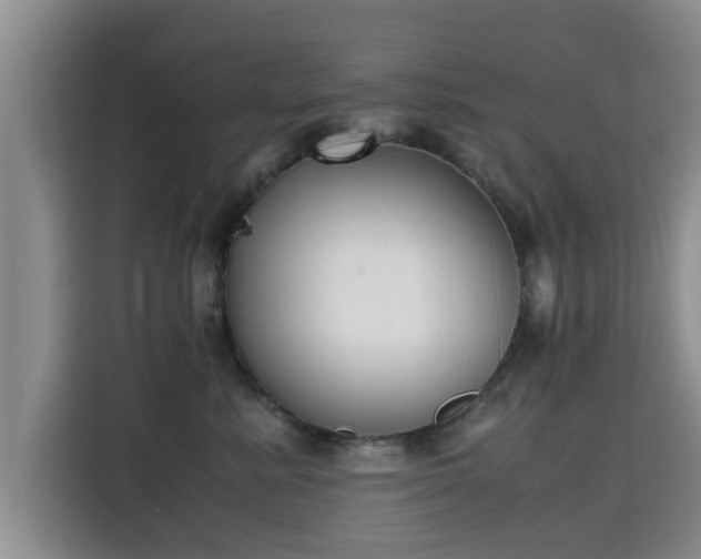 X0000115720619200911191353