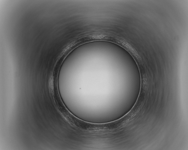 X0000115720626200911191352