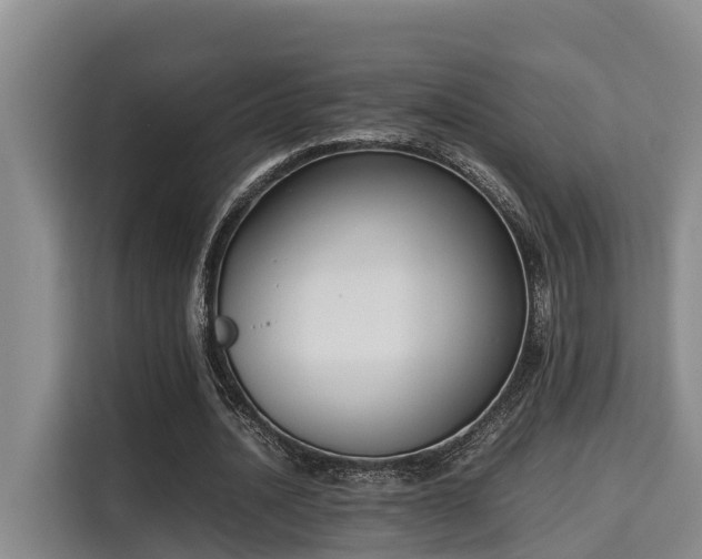 X0000115720628200911191352