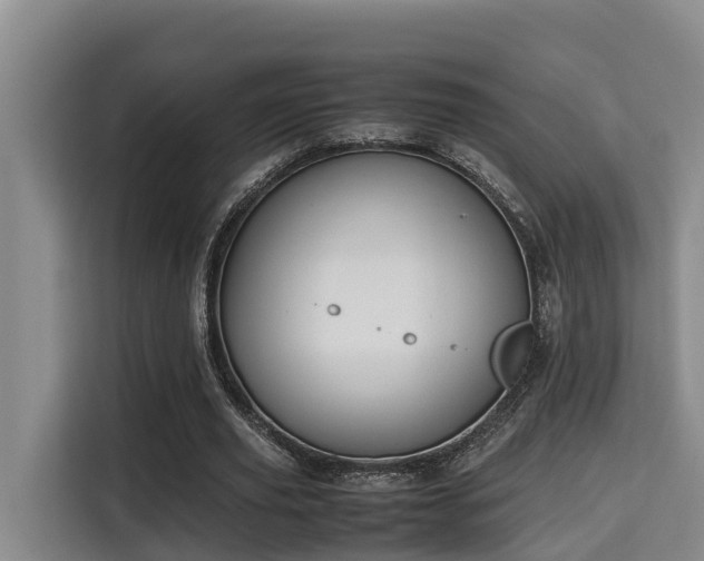 X0000115720629200911191352