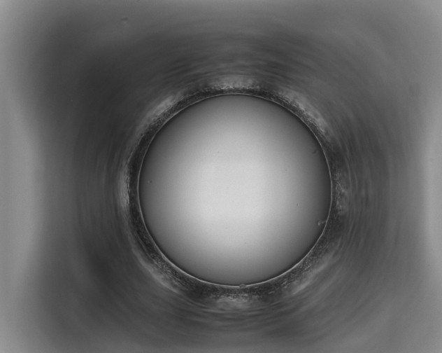 X0000115720631200911191352
