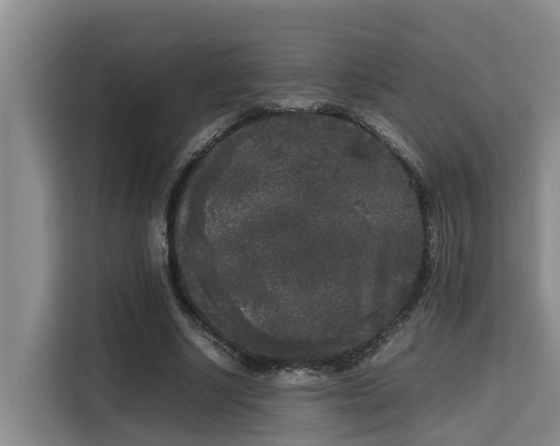 X0000115720634200911191352