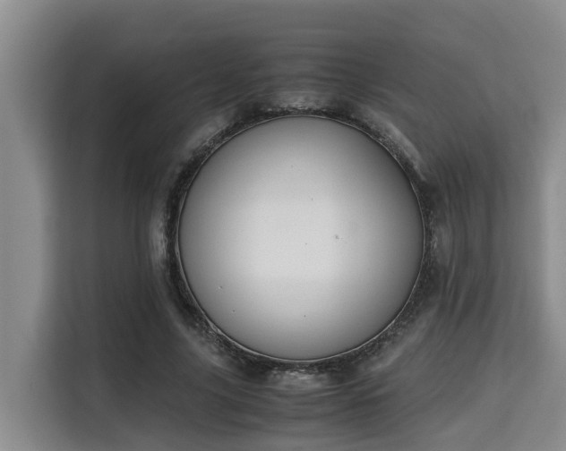 X0000115720635200911191352
