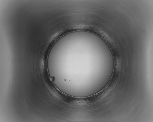 X0000115720636200911191352