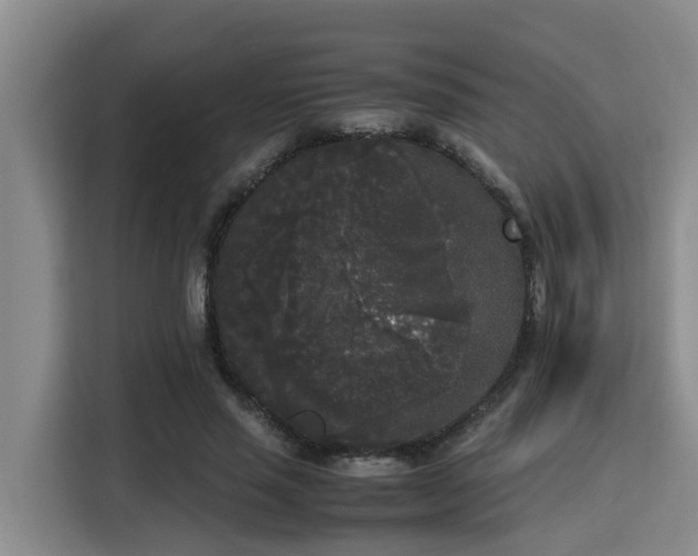 X0000115720637200911191352