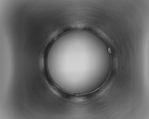 X0000115720638200911191352