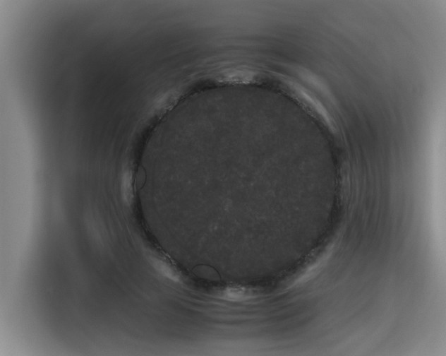 X0000115720641200911191352