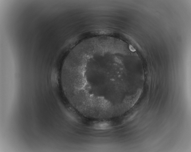 X0000115720643200911191352