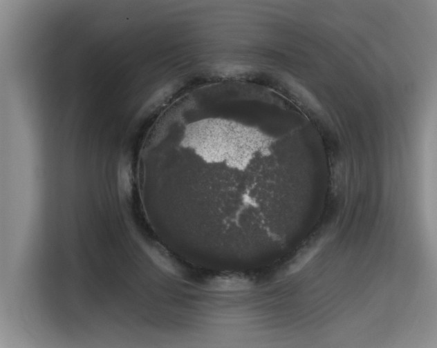 X0000115720644200911191352