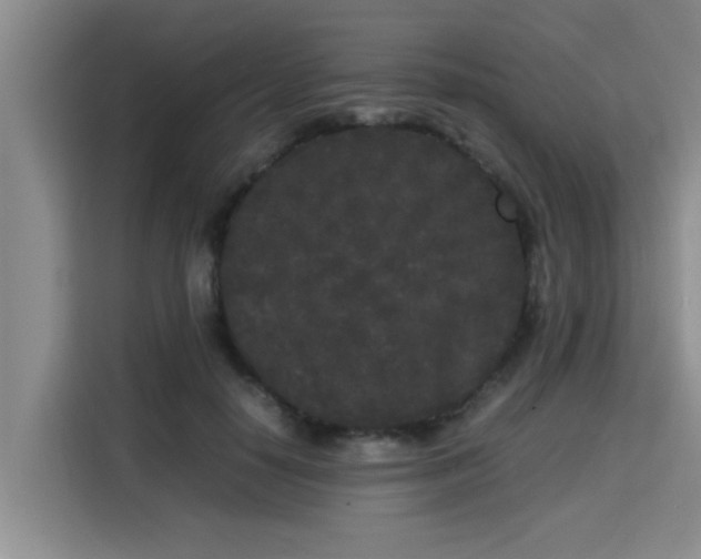 X0000115720650200911191352