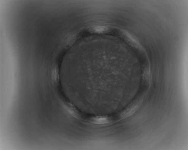 X0000115720651200911191352