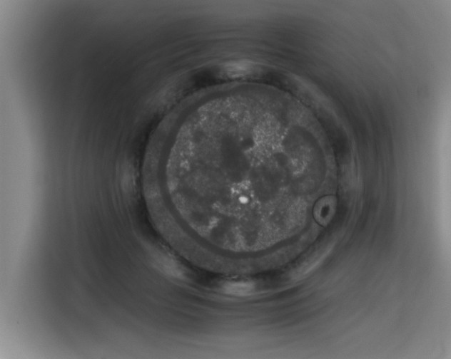 X0000115720653200911191352