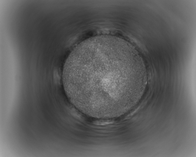 X0000115720661200911191352