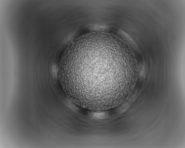 X0000115720669200911191352