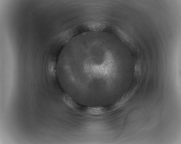 X0000115720671200911191352