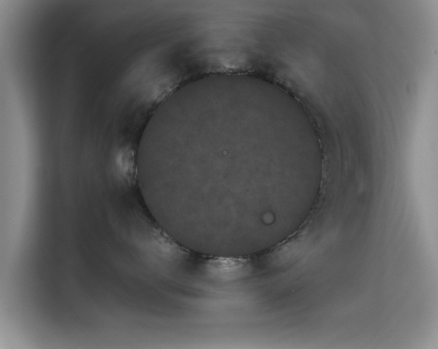 X0000115720672200911191352