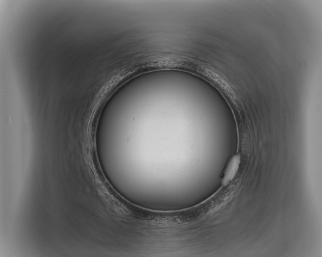 X0000115720673200911191352