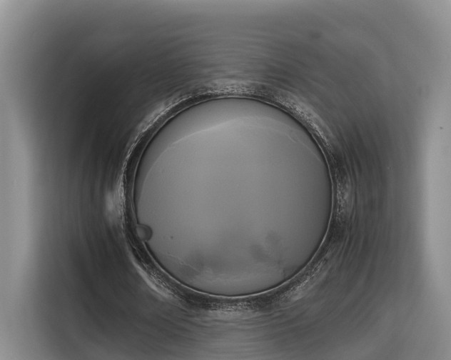 X0000115720674200911191352