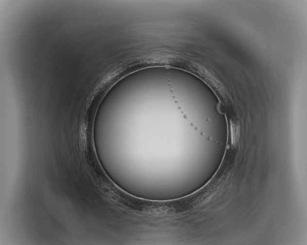 X0000115720675200911191352