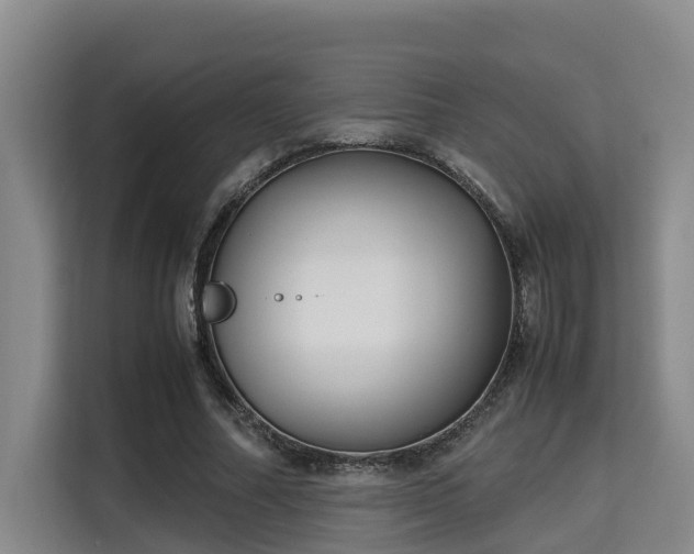 X0000115720682200911191352
