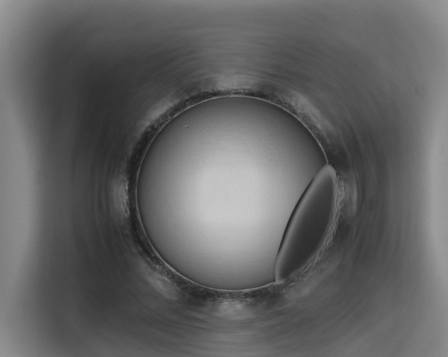 X0000115720684200911191352