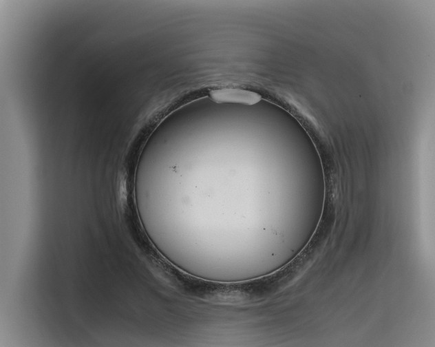 X0000115720685200911191352
