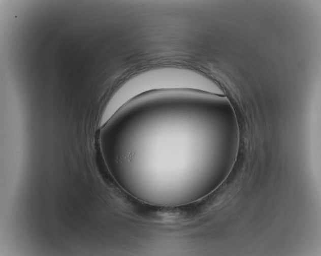 X0000115720693200911191352