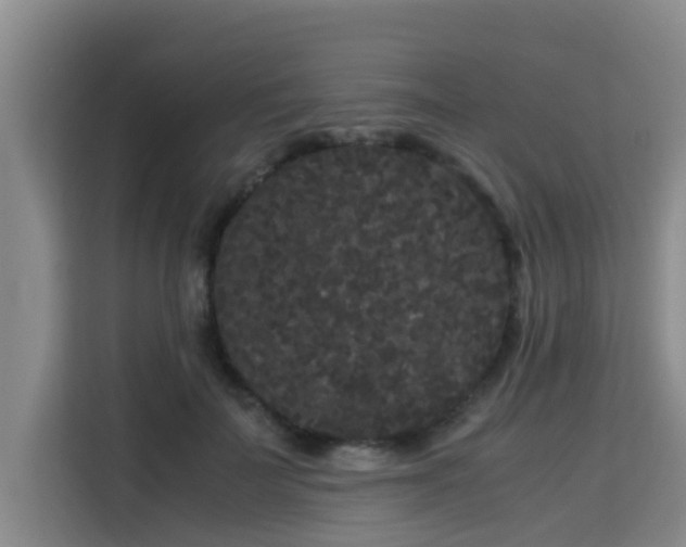 X0000115720699200911191352
