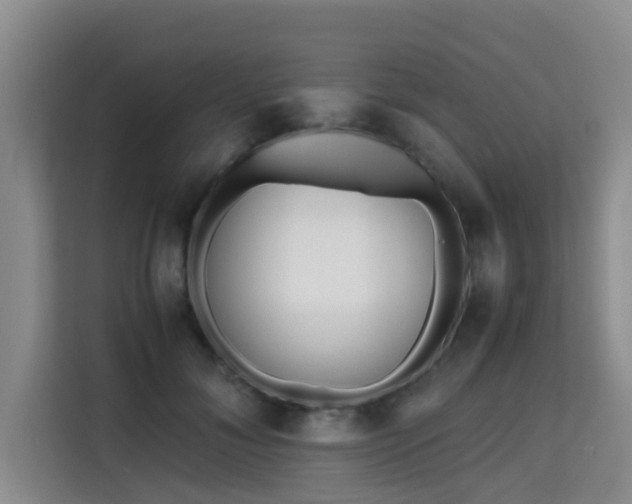 X0000115720700200911191352