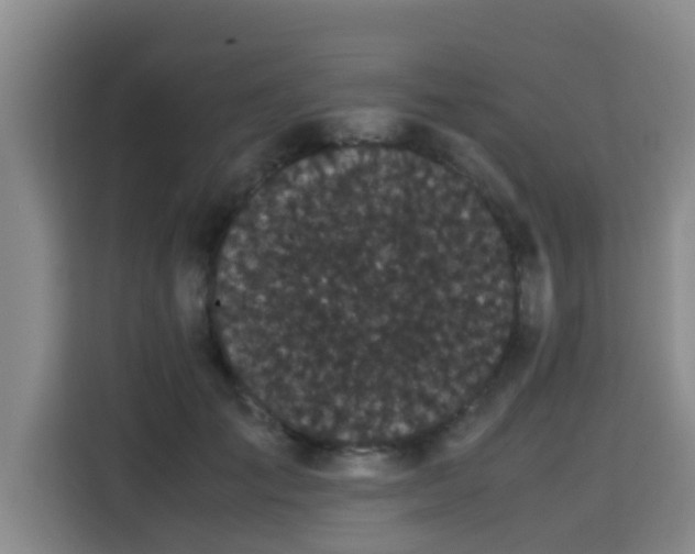 X0000115720701200911191351