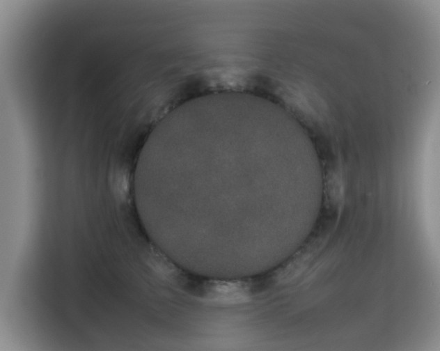 X0000115720709200911191351