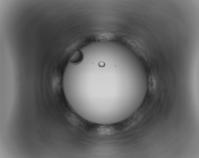 X0000115720714200911191351