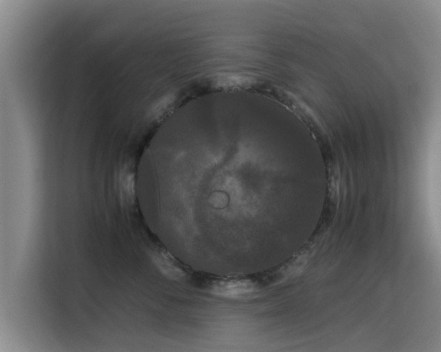 X0000115720716200911191351