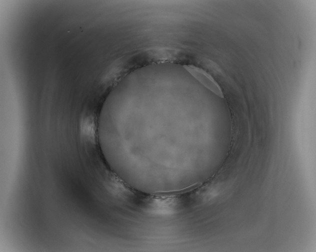 X0000115720720200911191351
