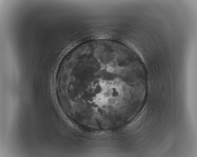 X0000115720721200911191351