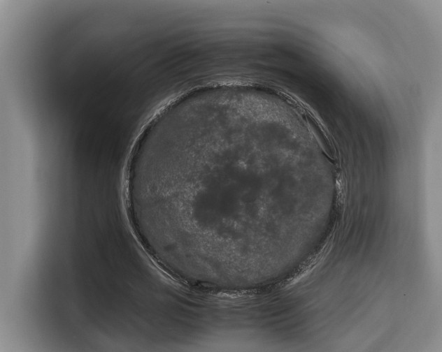 X0000115720725200911191351