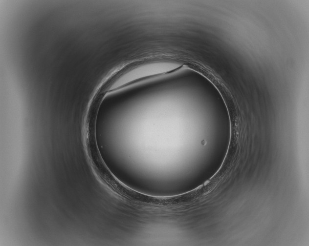 X0000115720726200911191351