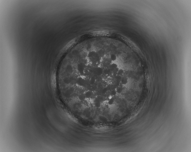 X0000115720729200911191351