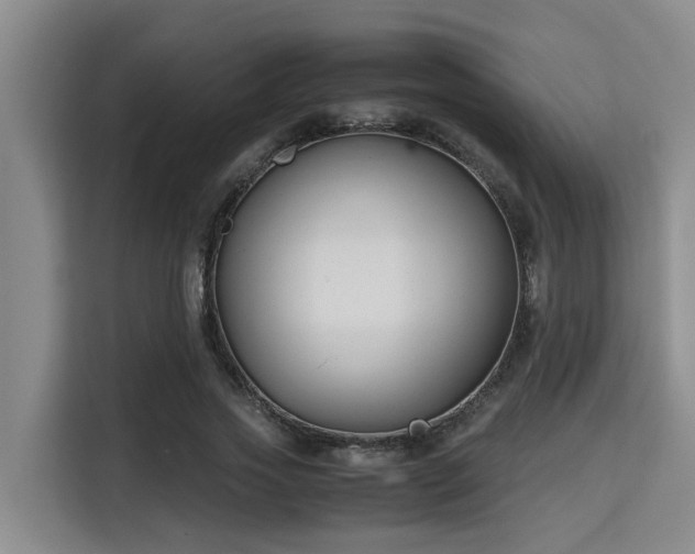 X0000115720733200911191351
