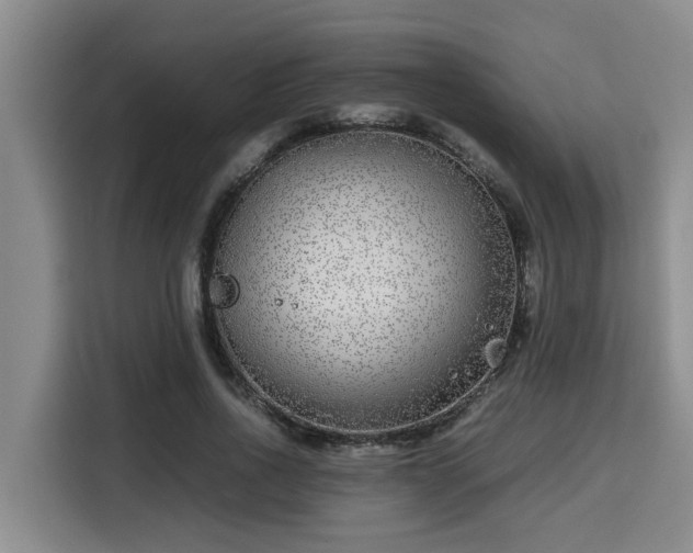 X0000115720734200911191351