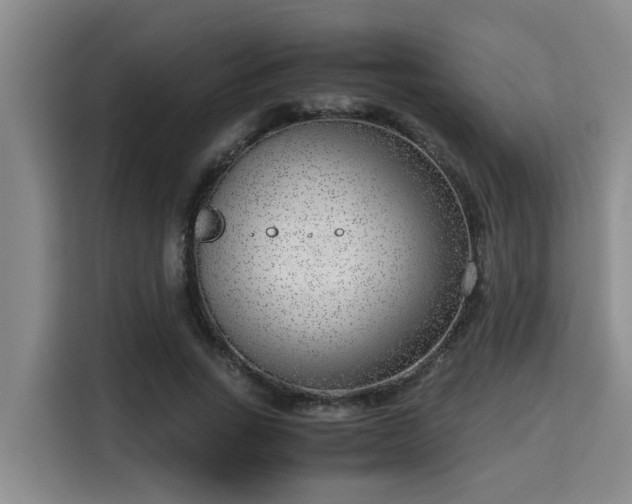 X0000115720735200911191351