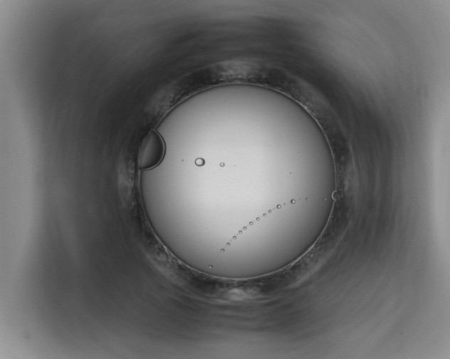 X0000115720737200911191351