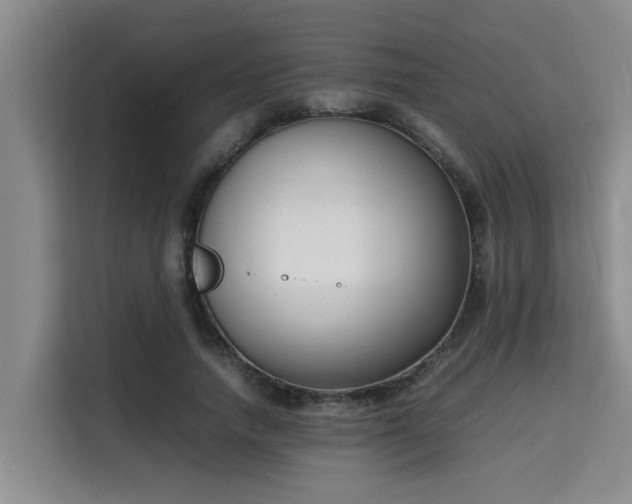 X0000115720738200911191351