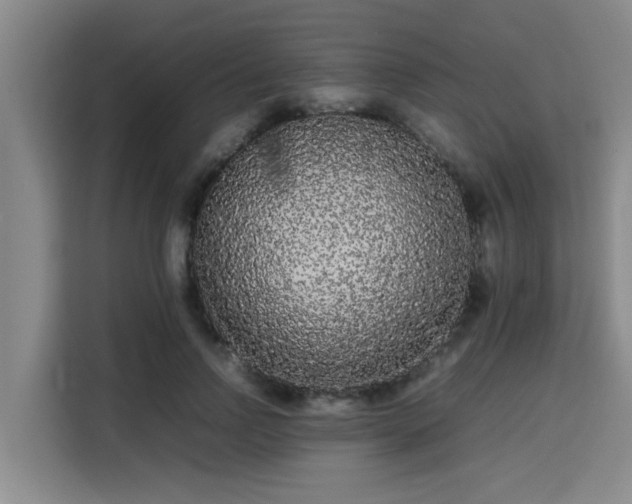 X0000115720742200911191351