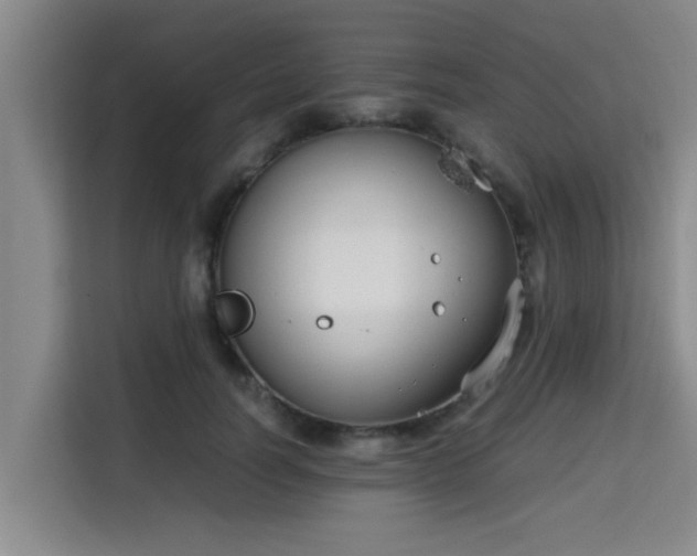 X0000115720746200911191351