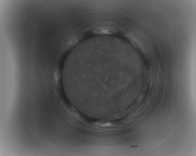 X0000115720747200911191351